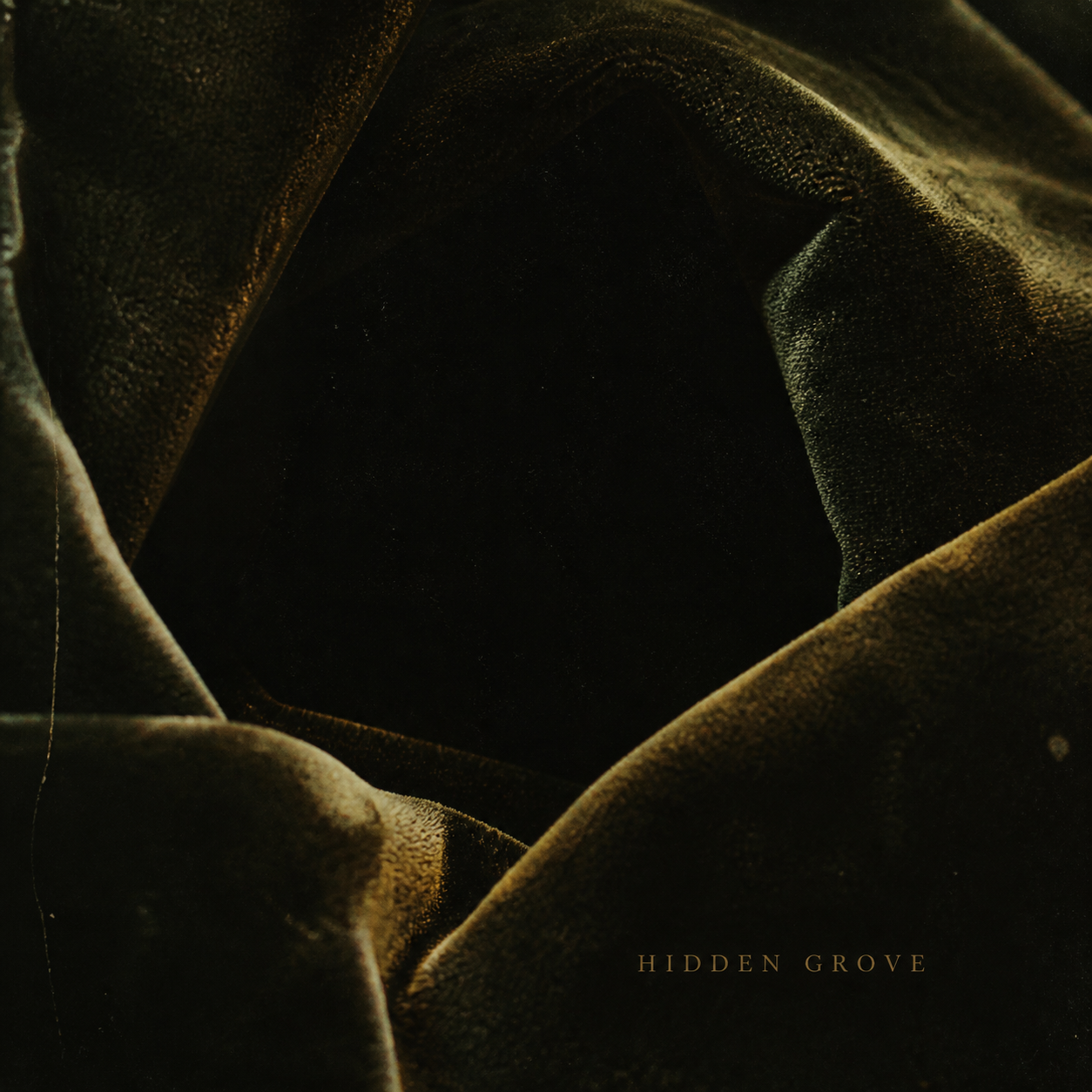 Hidden Grove cover artwork