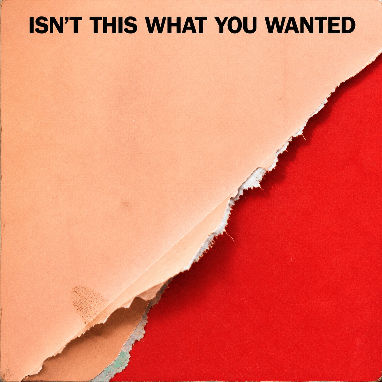 Isn't This What You Wanted cover artwork